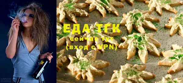 индика Вязьма