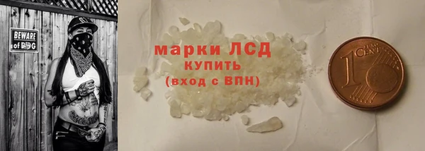 индика Вязьма