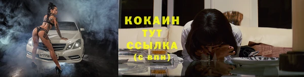 индика Вязьма