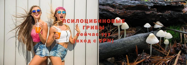 твердый Вязники