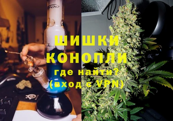 индика Вязьма