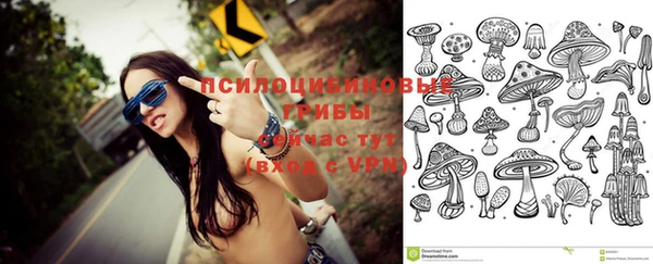 твердый Вязники