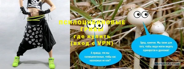 мет Вяземский