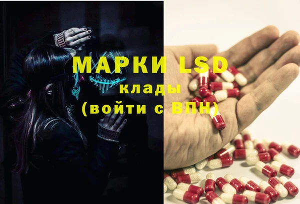 мяу мяу мука Зеленокумск