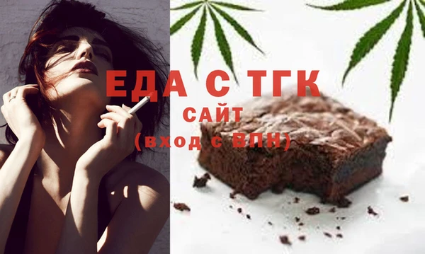индика Вязьма