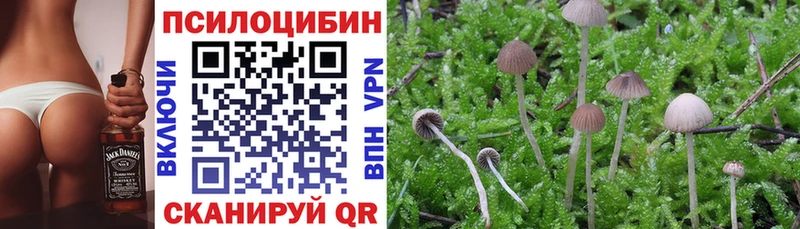 Галлюциногенные грибы MAGIC MUSHROOMS  Купить где  Ладушкин 